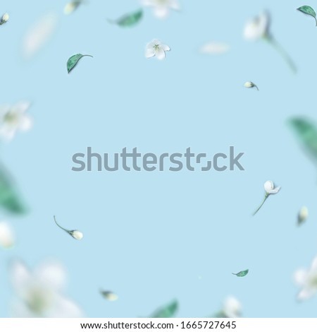 Creative layout with blooming apple tree on a blue background. Flat lay. Spring minimalism
