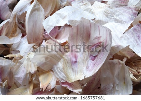 Photography of garlic peelings for food background