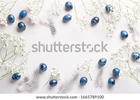 Easter creative frame with quail eggs painted blue, feathers and gypsophila flowers flat lay, hard light, harsch shadows, copy space.
