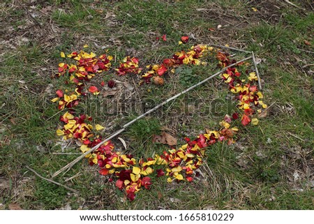 A flower petal heart in the forest