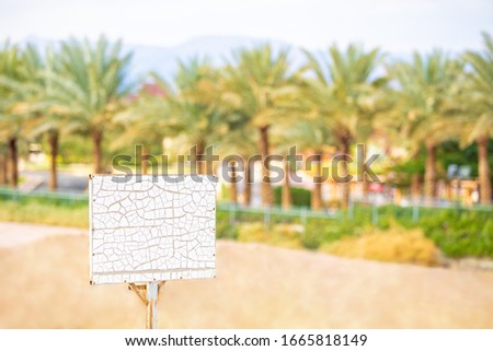 White sign with cracks on the background of the beach and palm trees. Concept of desperate travel, unexpected adventures, renting housing in southern countries, real estate sales, advertising, ads.