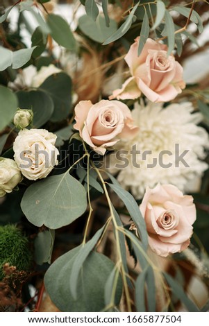 Roses of pastel color and green branches. Close up picture