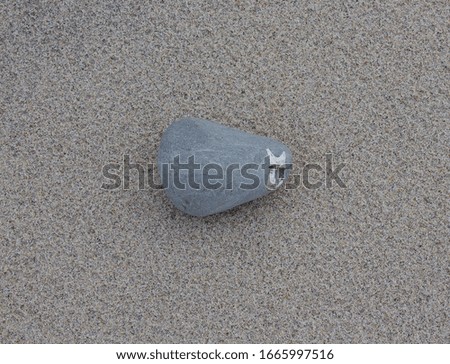 Beautiful Grey Stone with Natural White Cat Pattern on the Sand.Baltic Beach.Curonian Spit.