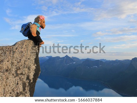 A plush toy monkey with a backpack sits on top of a mountain overlooking a beautiful Norwegian fjord.