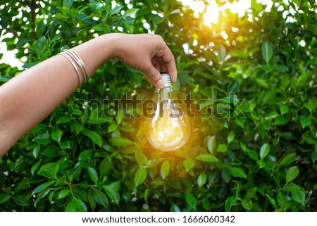 hand holding light bulb against nature, icons energy sources for renewable