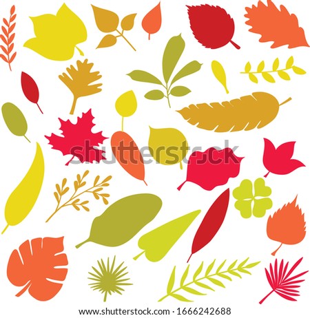 Freehand leaves and fern red and orange color illustrations. Tropical foliage and exotic palm doodles. Autumn maple leaf fall design element. Nature greenery plants sketch. Pretty olive branch set.