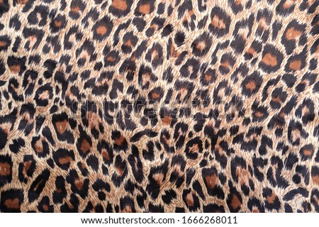 leopard abstract background and patterns 