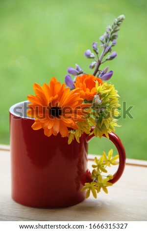 Colorful Flowers in red cup