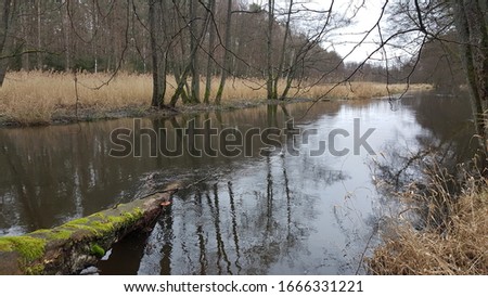 Beautiful river in a magical dark green colored foggy wild forest landscape. 