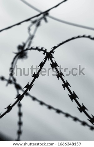 Close-up photo of barbed wire