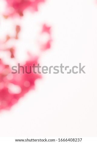Blurred image of pink flowers With bright outdoor light, beautiful, fresh,bright, soft, blurred Is a beautiful natural background.
