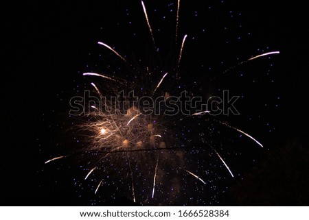 fireworks on new year's night