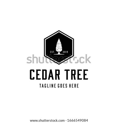 Creative Vintage Pine Cedar tree sign logo design template emblem