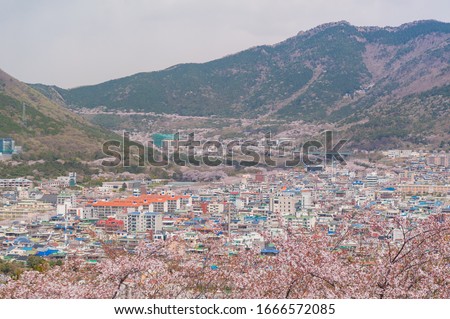 Aerial shot of Jinhae downtown and dense residential area from Jehwangsan Mountain Park, Changwon, South Korea