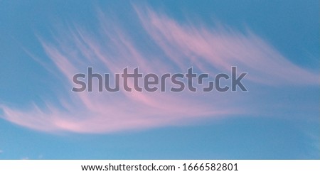 Blurred clouds background. Pink and white cloud like a wing on the blue sky. Sunset sky.