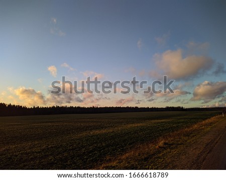 green field and sky in the evening in early spring