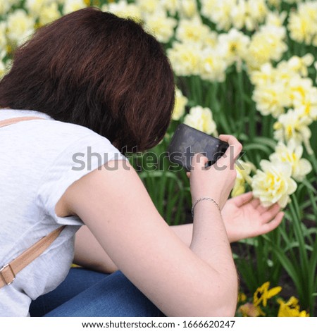 Girl makes a closeup photo of daffodil on the phone