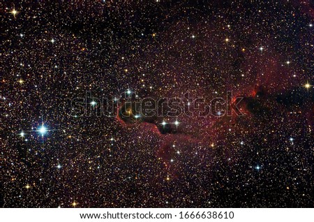 elephant nebula ic 1396 in cepheus