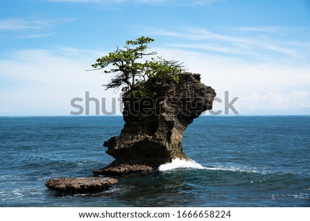 Lonely Cliff Rock Stone with single tree on top Costa Rica Manzanillo Caribbean Latin Central America beautiful smallest Island  Royalty-Free Stock Photo #1666658224