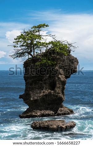 Lonely Cliff Rock Stone with single tree on top Costa Rica Manzanillo Caribbean Latin Central America beautiful smallest Island  Royalty-Free Stock Photo #1666658227