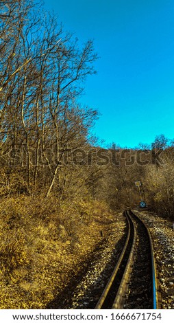 Railways at the forest at autumn.