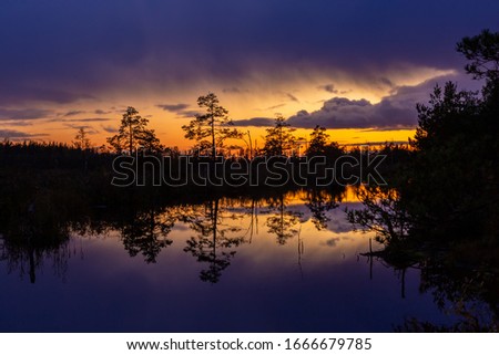 Sunset after rain at the Latvian swamp lake. Trees reflection in the water, cloudy sky, orange horizon