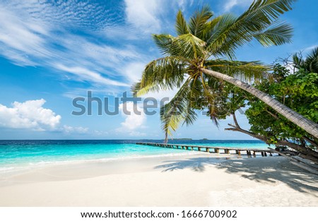 Beautiful beach on a tropical island in the Maldives