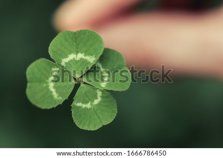 Holding a lucky four leaf clover, good luck shamrock, or lucky charm. Royalty-Free Stock Photo #1666786450