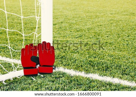 Red goalkeeper gloves with soccer goal background.