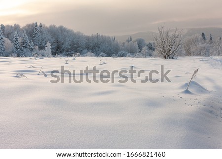 Mezmay winter field. Snow wonderland evening landscape sparkling surface