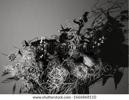 A picture of flowers in black and white with lighting coming from the left creating a shadow.