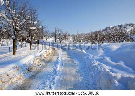 Trees along rural road covered with snow in Piedmont, Northern Italy.