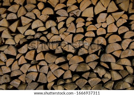 Stack of firewood in detail