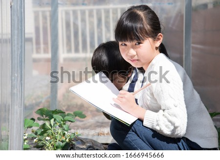 Elementary school child sketching at home
