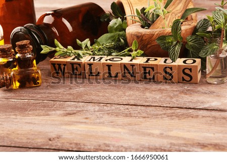 Homegrown and aromatic herbs.Set of culinary herbs. Green growing sage, oregano, thyme, basil, mint and oregano. Wellness sign with wooden cubes