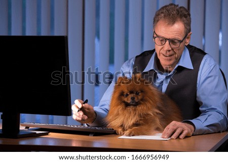 Senior businessman with his dog on the desk in an office - focus on the face of the dog