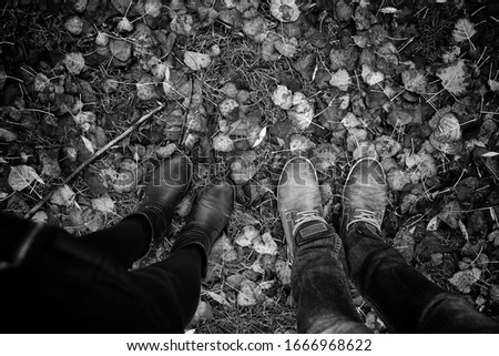 Autumn leaves on park floor, seasons and environment