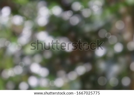 Abstract blur bokeh green background.