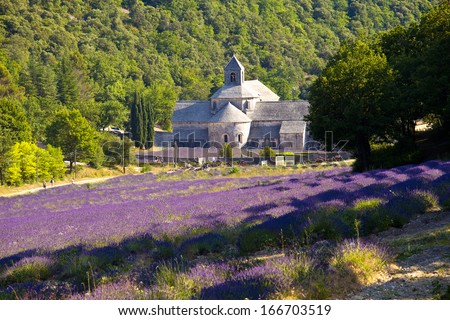 Blooming field of Lavender (Lavandula angustifolia) in front of Senanque Abbey, Gordes, Vaucluse, Provence-Alpes-Cote d'Azur, Southern France, France, Europe Royalty-Free Stock Photo #166703519