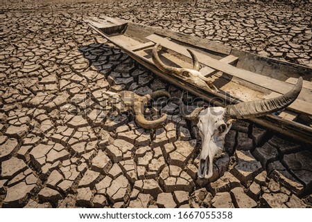 Blurred dead animals on cracked earth ground background, pattern for creative graphic design to beautiful wallpaper