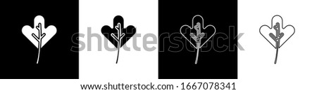 Set Leaf icon isolated on black and white background. Leaves sign. Fresh natural product symbol.  Vector Illustration