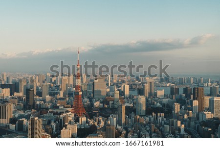 Tokyo skyline during sunset hours
