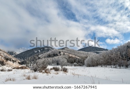 Snowy slopes and mingled forest in the mountains