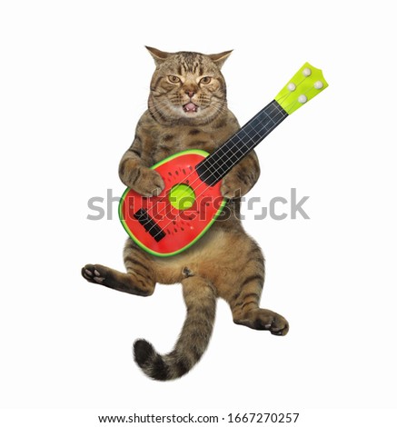 The beige cat is playing a watermelon acoustic guitar and singing a song. White background. Isolated.