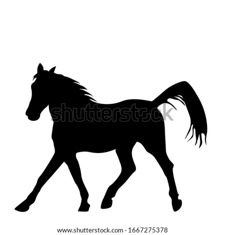 Black silhouette of horse isolated on white background