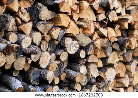 
Wood pile to dry in garden