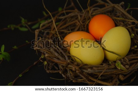 Nest with eggs on a dark background preparing for Easter