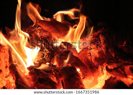 Burning wood in the stove. Fire background. 