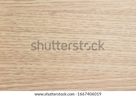 Beautiful wood tree texture, blank background, oak