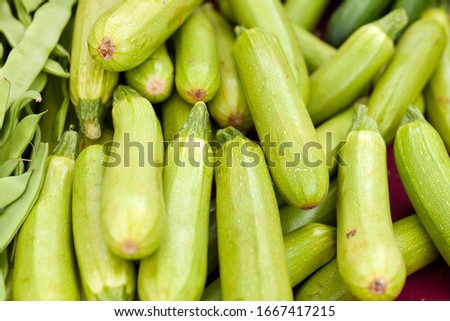 Fresh cropped green Zucchini; Offer in the vegetable market; Summer squash. Tukish traditional bazaar.